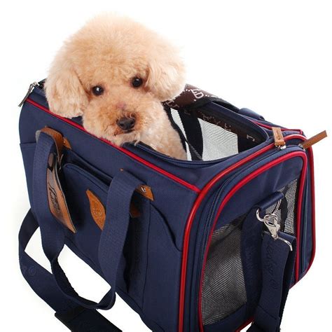 dog travel bag near me.